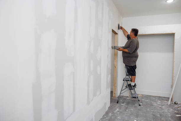 Mold Removal for HVAC Installations in South Gull Lake, MI